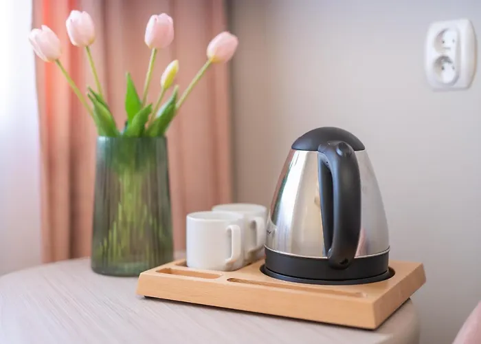 Guest house Rafalko 3*