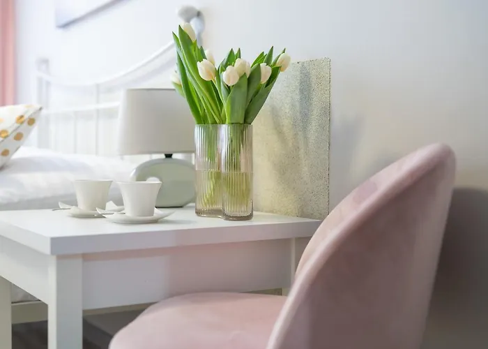 Rafalko 3* Dzwirzyno